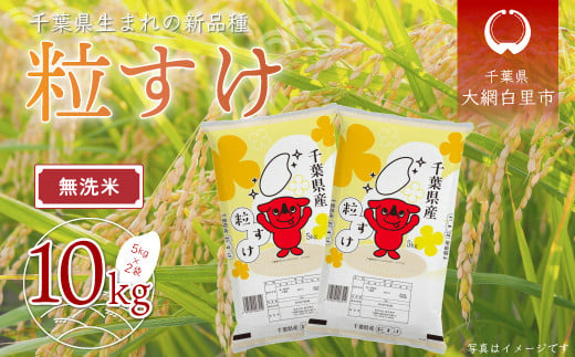 【新米】令和6年産 千葉県産「粒すけ」10kg無洗米（5kg×2袋）  お米 無洗米 10kg 千葉県産 大網白里市 粒すけ 米  こめ 送料無料 A044