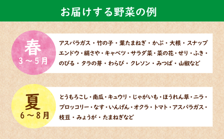 茂木町産 朝採れ 季節の野菜詰め合せ | 野菜詰め合せ 野菜詰め合せ 野菜詰め合せ 野菜詰め合せ 野菜詰め合せ