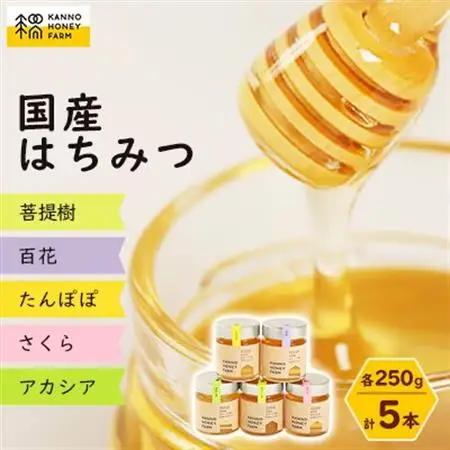 菅野養蜂場　国産はちみつ250g　5種類欲張りセット【配送不可地域：離島・沖縄県】【1091172】