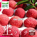 【ふるさと納税】生ライチ 国産 化粧箱 希少 果物 宮崎 高級 ギフト 贈答 先行受付 予約 送料無料（14-73）