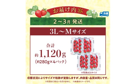 【2027年2月～3月発送】完熟「古都華」奈良ブランドいちご3L～Mサイズ4パック　先行予約 ことか 甘い 糖度 濃い 濃厚 果汁 香り 朝摘み いちご イチゴ 苺 フルーツ 果物 くだもの ご褒美 ごほうび 贈答 贈り物 ギフト プレゼント 冷蔵 奈良県 生駒市 送料無料