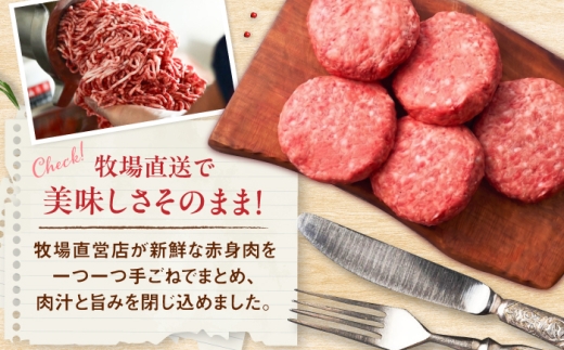 佐賀県産 しろいし牛 手ごねハンバーグ 5個（1個120g） / 牧場直送 国産 牛肉 ハンバーグ おかず / 佐賀県 / 有限会社佐賀セントラル牧場 [41ASAA323]