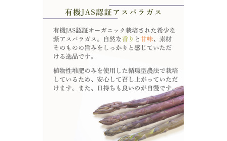 【先行予約】 訳あり オーガニック パープルアスパラガス  M～L 500g アスパラガス