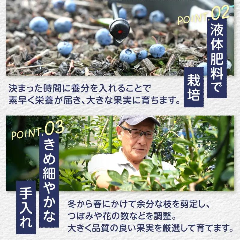 2026年産 大人気！甘くジューシーな冷凍ブルーベリー1kgパック [h186]