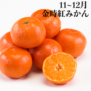 甘くてジューシー！ 丸亀の人気フルーツ定期便 全4回 いちご 桃 シャインマスカット みかん さぬきひめ 金時紅みかん 香川県 丸亀市