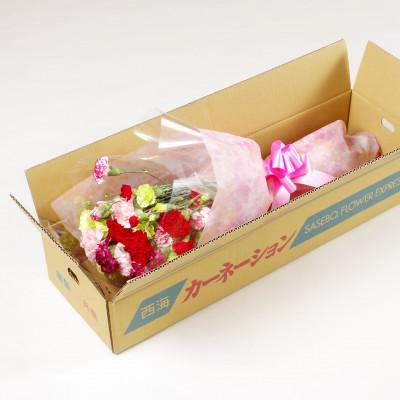 ふるさと納税 佐世保市 母の日ギフト 花農家直送 カーネーション花束 生花 切り花 22本 |  | 01