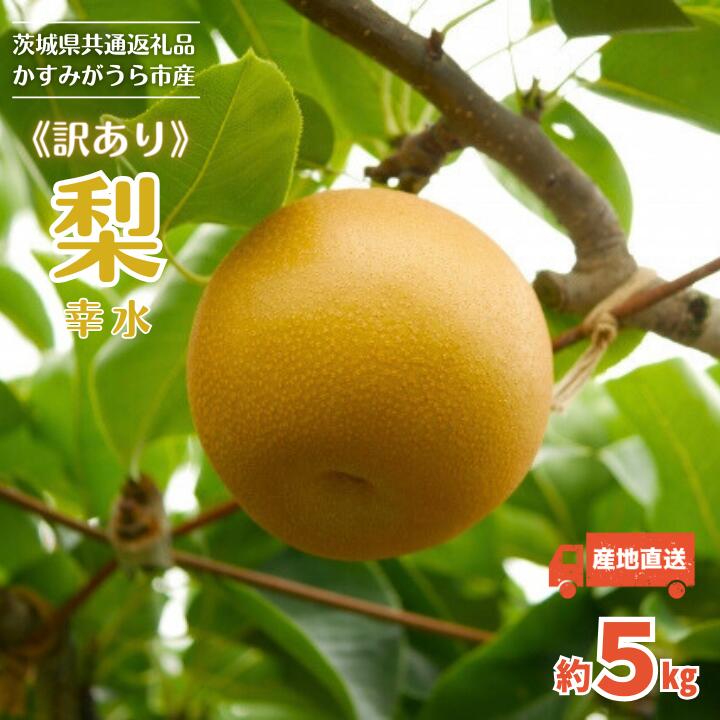 【ふるさと納税】《訳あり》幸水　5kg（茨城県共通返礼品・かすみがうら市産） ／ 幸水 梨 なし ナシ 果物 くだもの フルーツ 訳あり 訳アリ 規格外 家庭用 5kg 産地直送 産直 茨城県 利根町