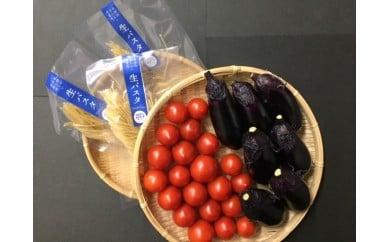 生パスタと野菜の本格イタリアン便 パスタ 野菜 セット 500g 1-2品 詰め合わせ 詰合せ 1万円 以上 冷凍 生パスタ オーガニック オクラ なす トマト 簡単調理 料理 ふるさと納税野菜 ふるさと野菜 高知県 安田町 TR-10