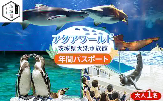アクアワールド茨城県大洗水族館　年間パスポート(大人1名分)【1506576】
