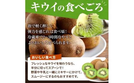 【先行予約】 先行予約！和歌山県産 秀品 キウイフルーツ 大玉15個入 こだわり農家厳選  【2025年12月初旬頃から2026年1月中旬頃順次発送】/ キウイ キウイフルーツ 果物 フルーツ おやつ
