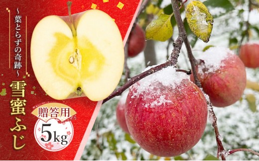 
                  蜜入り14度糖度保障【贈答用】雪蜜ふじ～葉とらずの奇跡～約5kg【青森りんご・マルコウアップル】果物類 フルーツ 林檎 リンゴ 板柳町 青森県 おやつ デザート
                