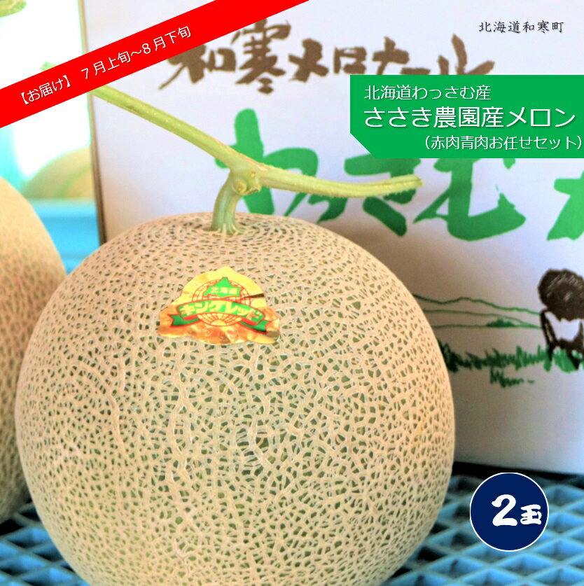 【ふるさと納税】≪令和7年産予約≫ ささき農園産メロン(お任せ2玉) ふるさと納税 メロン 北海道 【7～8月お届け】