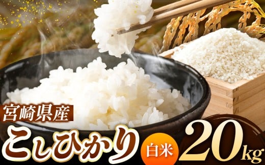 令和7年産 こしひかり 20kg （白米） 宮崎県産 | 米 こめ お米 おこめ 精米 白米 宮崎県 五ヶ瀬町