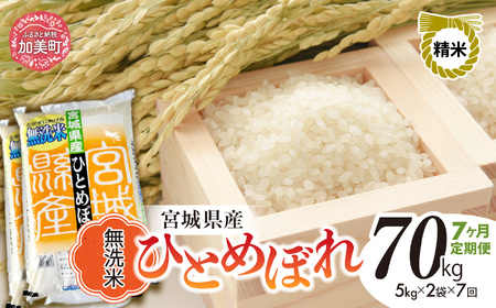 【7回定期便】R7 宮城県産 ひとめぼれ 無洗米 10kg×7回 [ 宮城県 加美町 菅原精米 ] 米 sw-hb10-mu-t7-r7