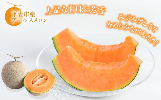 【先行予約】茨城県産アールスメロン「赤」約2.5kg（2個）【2026年9月上旬～10月上旬ごろ発送予定】【 国産メロン 茨城県産メロン メロンの王様 高級メロン めろん  果物 くだもの フルーツ 