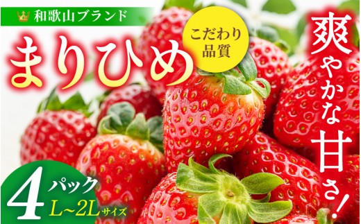 
                  【先行予約】まりひめ いちご 12粒～15粒入り×4パック（1kg）2026年1月中旬～2026年3月中旬頃に順次発送予定（お届け日指定不可）/ いちご 苺 まりひめ 和歌山 フルーツ 果物 くだもの【kgr008B】
                