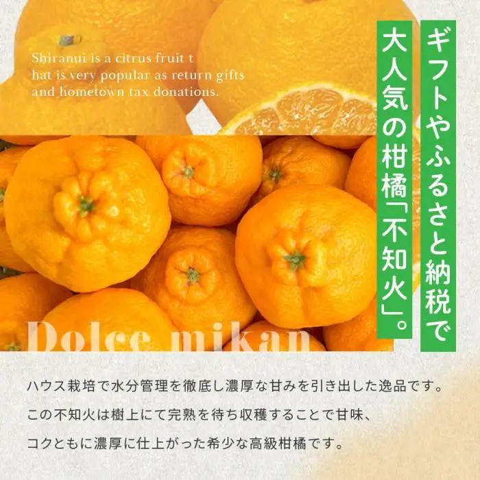 越冬完熟しらぬひ 2kg 3月上旬～｜みかん 柑橘 しらぬい 不知火 しらぬい 尾道市