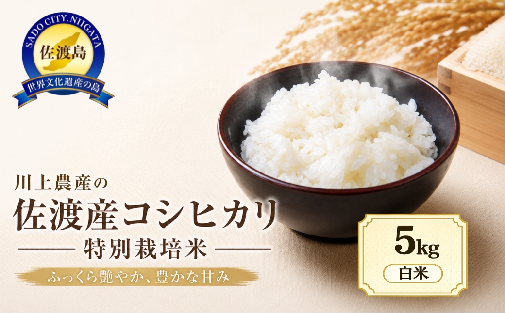 令和8年産 佐渡 川上農産のコシヒカリ（5kg）