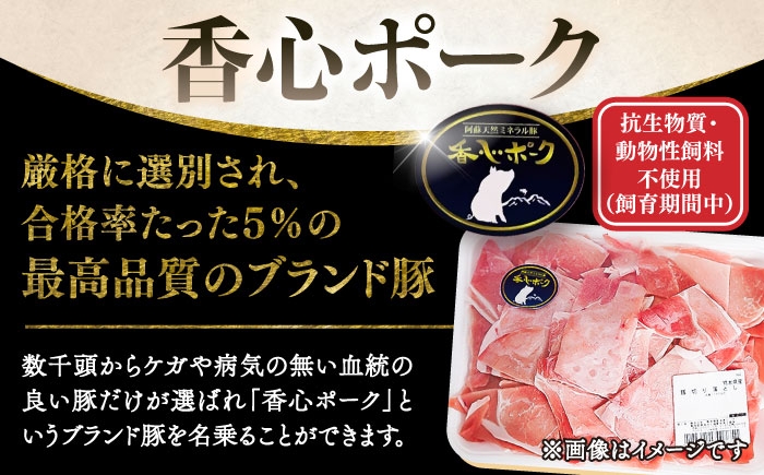 豚肉 ぶたにく ぶた肉 ブタ肉 ブタ ポーク 冷凍 ブランド ブランド豚 菊陽 熊本