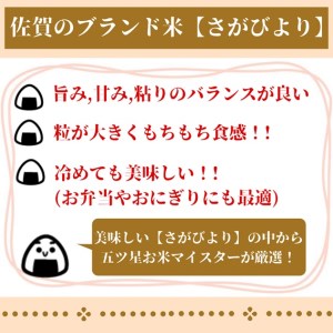 CID47_【３回定期便】さがびより【玄米】１０kg（５kg×２袋） 【五つ星お米マイスター厳選！】