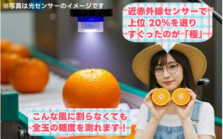 有田みかん 極 プレミアム 2kg (2S～Lサイズ) 光センサー選別 / 温州みかん みかん 甘い 高級 和歌山 柑橘 ※11月下旬～翌年1月上旬頃に順次発送予定 ※北海道・沖縄・離島への配送不可 
