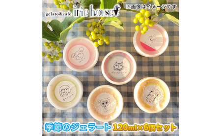 ジェラート 季節のアイス お任せ アイリーハウス ジェラート【120ml×6個】