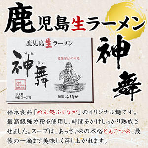 タレ・味噌・醤油等調味料と生めんセット(8種類)調味料 たれ みそ しょうゆ 麺 麺類 ラーメン 生麺 セット 詰合せ 詰め合わせ【福永食品】a-12-23