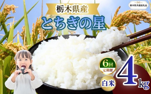 
                  【定期便6回】栃木県産 とちぎの星 白米 4kg 2026年 先行予約 | 栃木県 矢板市
                