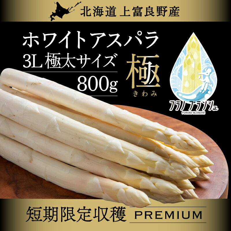 【ふるさと納税】【令和8年産】 〔メディア掲載されました〕 ホワイト アスパラガス 3L 800g 春アスパラ 野菜 旬 新鮮 産地直送 甘い 極太 お取り寄せ グルメ 高評価 限定 北海道 上富良野産 　お届け：2026年4月中旬～6月上旬まで