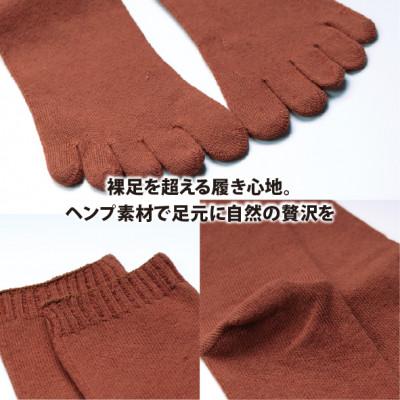 ふるさと納税 和歌山市 和歌山 国内製造 天然繊維 ヘンプ素材 靴下 レンガ 25-27cm |  | 02