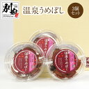 【ふるさと納税】温泉うめぼし 100g × 3個 ギフト 梅干し 大分県産 国産 梅 紫蘇 鉄輪温泉 美人の湯 昔ながら 保存料 添加物 不使用 ご飯のお供 梅肉和え 美味しい 地元農家 食品 おにぎり お弁当 手土産 お土産 プレゼント 大分県 別府市 送料無料