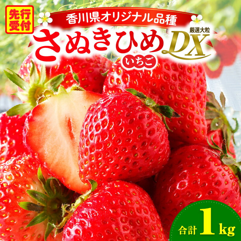【ふるさと納税】三木町地域いちご部会「さぬきひめ」1kgDXパック 果物 フルーツ 苺 デザート イチゴ 旬 おすすめ グルメ 季節 ギフト 果肉 農産物 おすそ分け アレンジ 生鮮食品 旬の果物 贈答 贈り物 果実 青果物 パック 国産 冷蔵 香川県 三木町