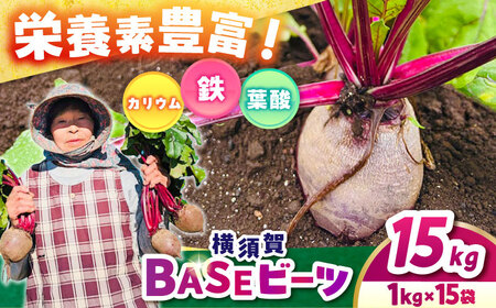 横須賀BASEビーツ 15kg（1kg×15袋）【ゆり子ファーム】[AKCR013]