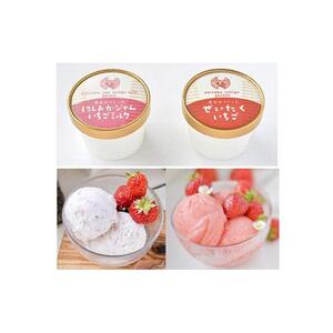 農家がつくったジェラート14個入