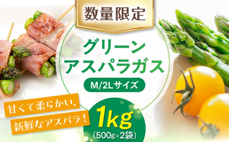 【5月中旬以降順次発送】朝どりアスパラ M／2L混サイズ1kg 《喜茂別町》【ニセコビュープラザ直売会協同組合】 アスパラ アスパラガス グリーンアスパラ 冷蔵 冷蔵配送 野菜 春野菜 季節の野菜[AJAH017]