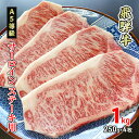 【ふるさと納税】牛肉 飛騨牛 サーロイン ステーキ 1kg(1枚 約250g×4枚) 黒毛和牛 A5 美味しい お肉 牛 肉 和牛 サーロインステーキ 【岐阜県美濃市】　【 牛肉 サーロイン 肉 ステーキ BBQ ギフト 贈答 】