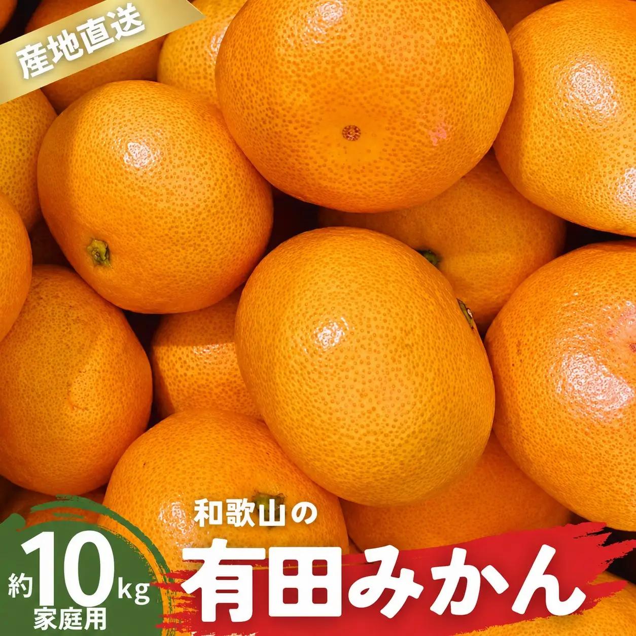 【12月発送】家庭用 有田みかん 和歌山 訳あり わけあり S～Lサイズ 大きさお任せ 10kg / みかん フルーツ 果物 くだもの 有田みかん 蜜柑 柑橘【ktn008B-12】