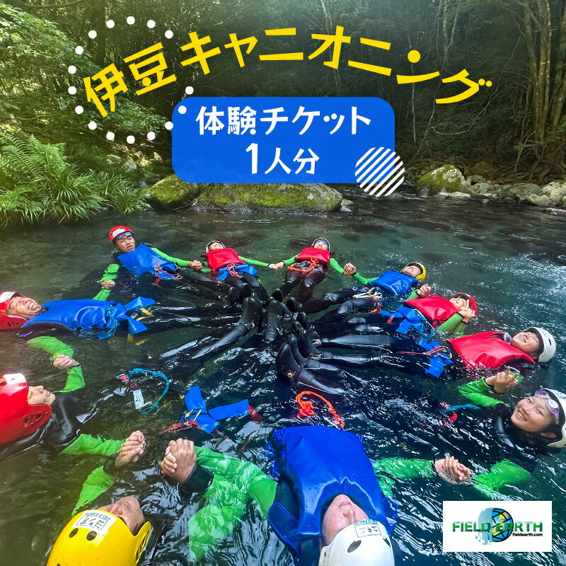 【ふるさと納税】伊豆キャニオニング 体験チケット 1人分 伊豆ブルーキャニオン レジャースポーツ 体験 ウォーターアクティビティ スポーツ 静岡県 河津町
