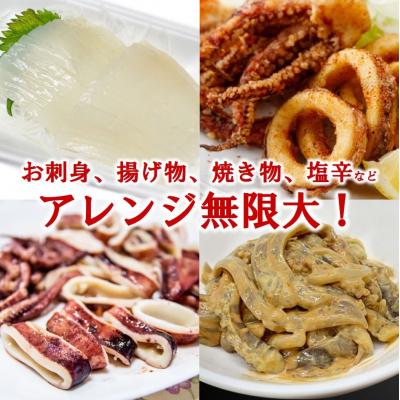 ふるさと納税 普代村 【年内発送】 冷凍スルメイカ 中 4本〜6本 (1kg前後) いか塩辛 いかめし 年内お届け |  | 03
