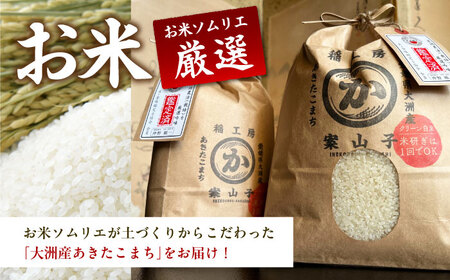 水郷大洲たる井の「国産うなぎ蒲焼き5尾」と大洲産のお米