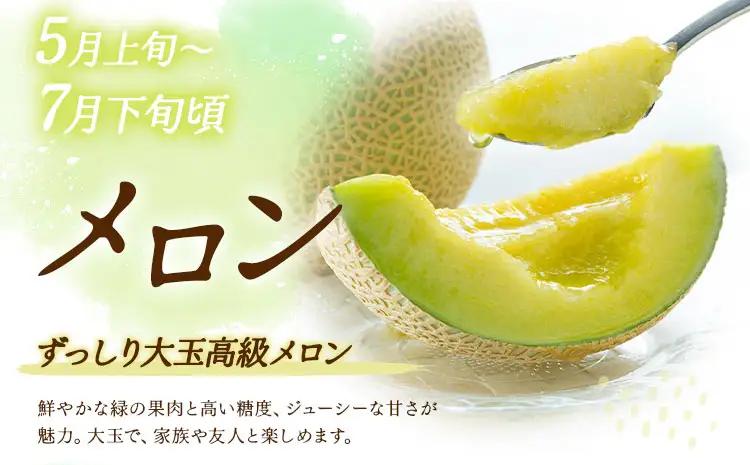 【5回定期便】先行予約 旬のフルーツ定期便 いちご メロン 梨 シャインマスカット 柿 日本フルーツ株式会社《2027年1月中旬-11月中旬頃出荷》熊本県 菊池市 果物 くだもの フルーツ デザート