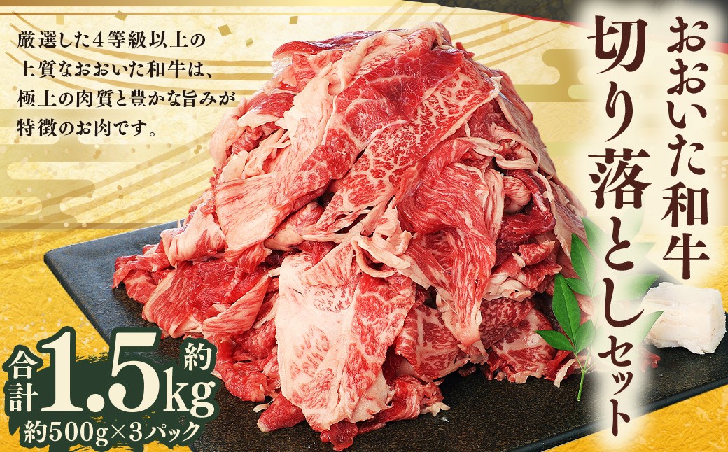 
            おおいた和牛 切り落とし 約500g×3パック 計約1.5kg
          
