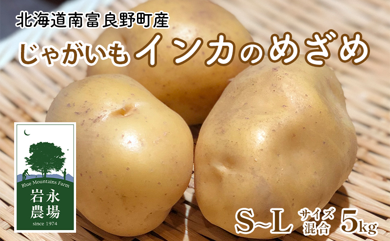 北海道 南富良野町 じゃがいも「インカのめざめ」5kg(S～Lサイズ混合) じゃがいも ジャガイモ いんか インカ 野菜 やさい