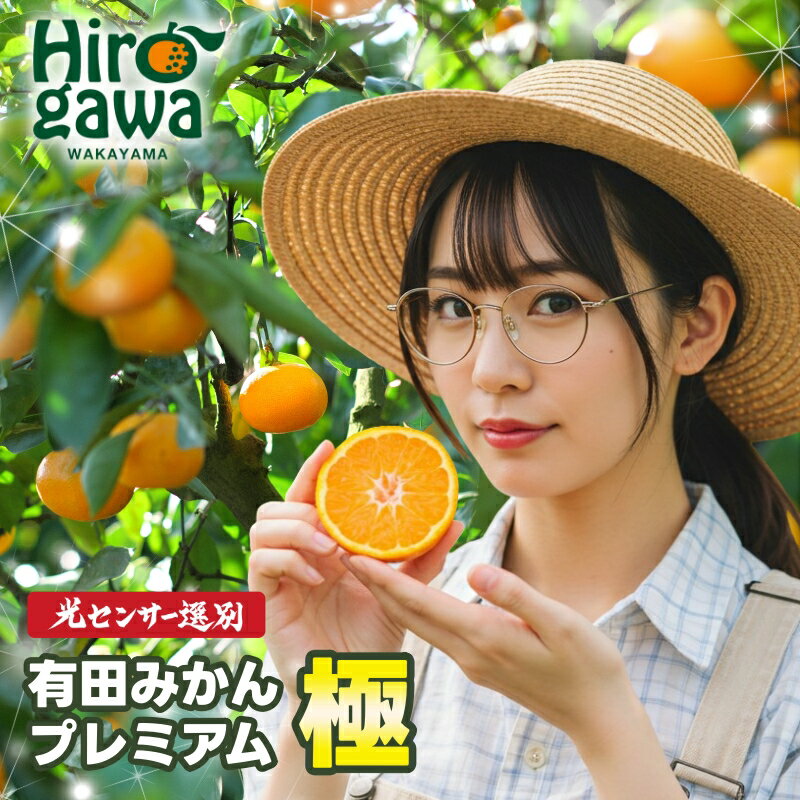 【ふるさと納税】 有田みかん 極 プレミアム 2kg 3.5kg 5kg 10kg (2S～Lサイズ) 7000円 10000円 15000円 光センサー選別 ※11月下旬～翌年1月上旬頃に順次発送予定 ※北海道・沖縄・離島への配送不可 / 温州みかん みかん 高糖度 柑橘 果物 フルーツ 甘い //mandarin