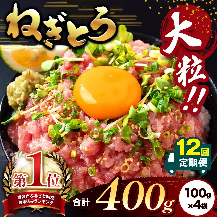 【定期便12回】ねぎとろ 400g（100g×4袋） 本州限定発送 | 清幸丸水産 大人気 手巻き寿司 海鮮丼 マグロのユッケ まぐろ 海鮮 小分け 100g パック 千葉県 君津市