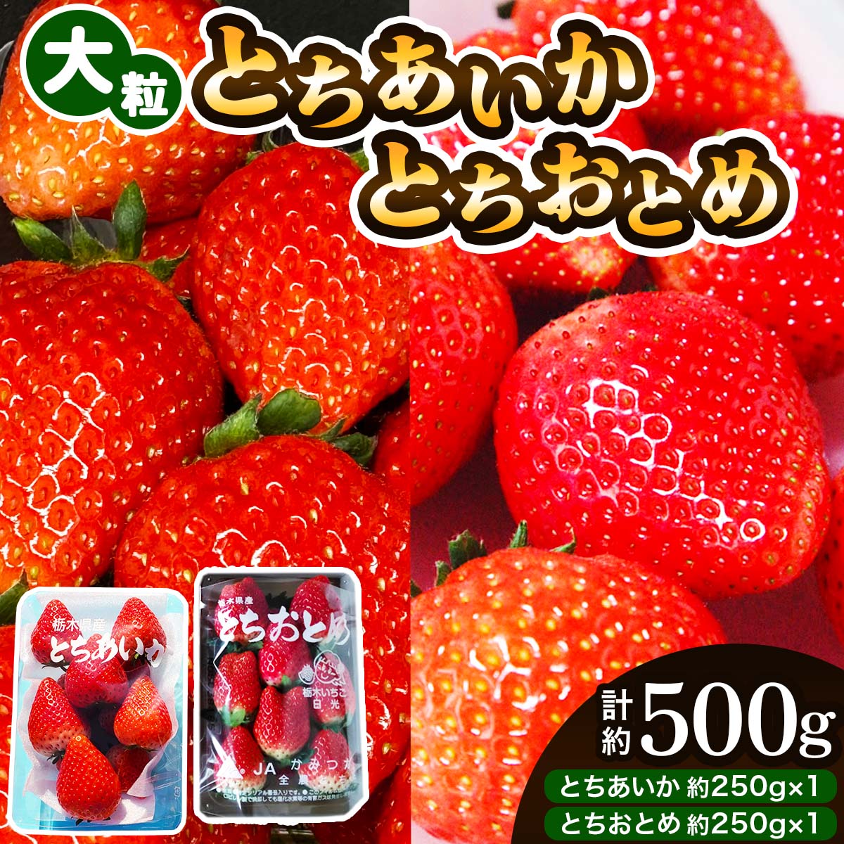 大粒とちあいか＋大粒とちおとめ 計2パック／約500g (各1パック)《2026年1月上旬より順次発送》｜先行予約 とちあいか とちおとめ いちご イチゴ 苺 大粒 果物 果実 フルーツ 産地直送 日光市産 栃木県産 数量限定 [0781]