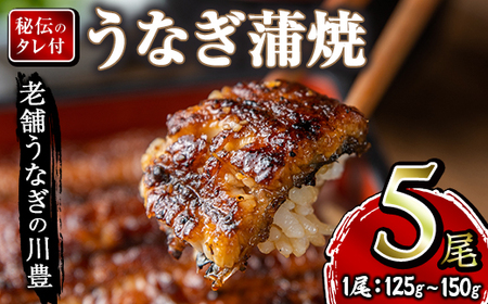 1043-2 昭和56年創業 うなぎの川豊 うなぎ蒲焼5尾 KN049-001-05 うなぎ 国産 本格 鰻 ウナギ 蒲焼 冷凍 湯煎 レンジ 解凍 簡単調理 鰻丼 鰻重 ひつまぶし 魚 土用の丑 MNB ふるさと納税 鹿児島 鹿屋市 おすすめ ランキング プレゼント ギフト