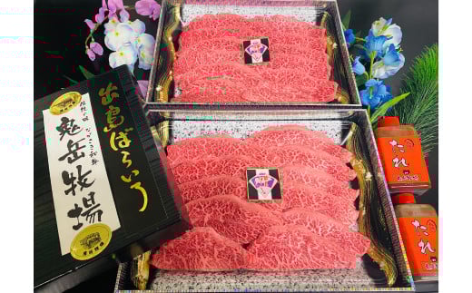 【全3回定期便】長崎和牛 出島ばらいろ レギュラータイプD