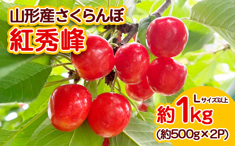 
            山形産 さくらんぼ 紅秀峰 Lサイズ以上 約1kg 【令和7年産先行予約】FS23-709 くだもの 果物 フルーツ 山形 山形県 山形市 2025年産
          