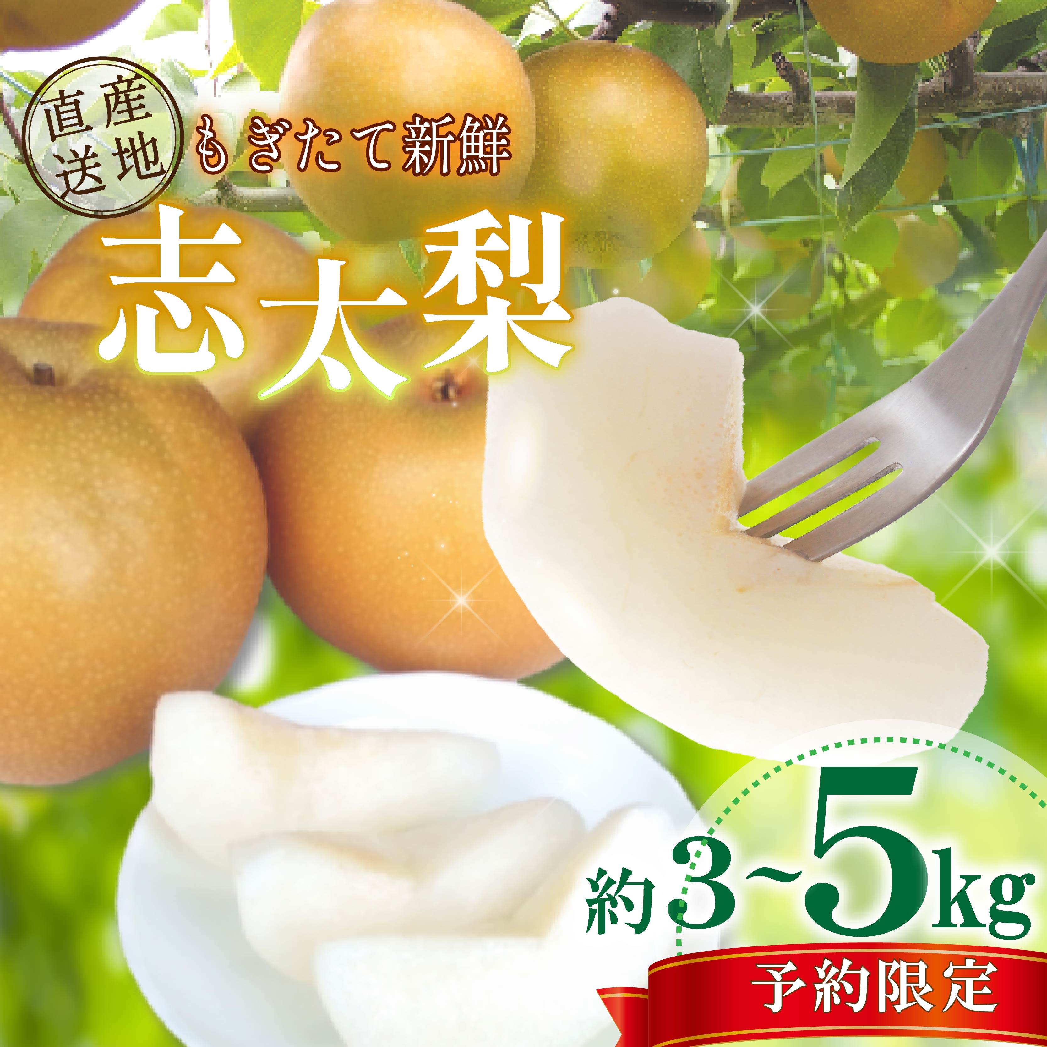 【ふるさと納税】 【先行予約：2025年8月出荷】 梨 3～5kg 志太梨 果物 フルーツ 産地 直送 家庭用 なし 藤枝産梨 甘い梨 貴重種梨 限定梨 旬の梨 静岡県 藤枝市